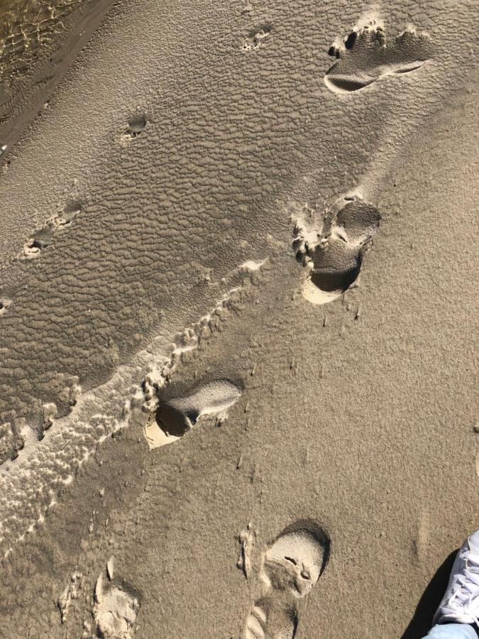 شقة Opale Baie Berck المظهر الخارجي الصورة